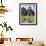 Turkeys at a Pyramid in the Mayan Ruins of Tikal, UNESCO World Heritage Site, Guatemala-Christian Kober-Framed Photographic Print displayed on a wall