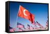 Turkish and American Flags during 3000 Flags for 9-11 Tribute-Joseph Sohm-Framed Stretched Canvas