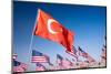 Turkish and American Flags during 3000 Flags for 9-11 Tribute-Joseph Sohm-Mounted Photographic Print