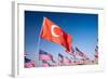 Turkish and American Flags during 3000 Flags for 9-11 Tribute-Joseph Sohm-Framed Photographic Print