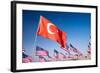 Turkish and American Flags during 3000 Flags for 9-11 Tribute-Joseph Sohm-Framed Photographic Print