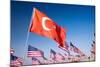 Turkish and American Flags during 3000 Flags for 9-11 Tribute-Joseph Sohm-Mounted Photographic Print