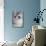 Turkish Blue Silver Mackerel Tabby-null-Mounted Photographic Print displayed on a wall