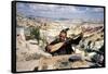 Turkish Man Playing a Type of Mandolin Called a Sis-Bill Ray-Framed Stretched Canvas