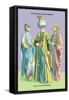 Turkish Noblemen and Sultan, 11th Century-Richard Brown-Framed Stretched Canvas