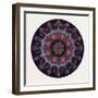 Turkish Ornament-null-Framed Giclee Print