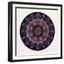 Turkish Ornament-null-Framed Giclee Print