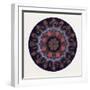 Turkish Ornament-null-Framed Giclee Print