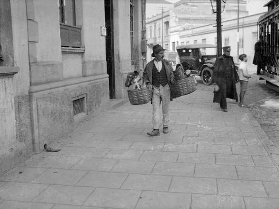 Photographic Print, , large