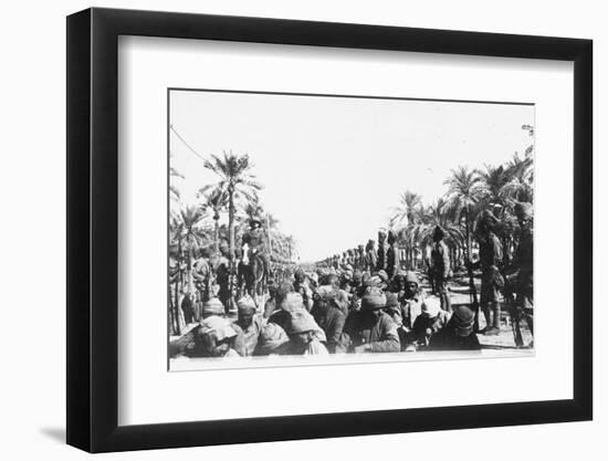 Turkish Prisoners of War, Ca. 1914-null-Framed Photographic Print