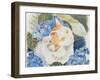 Turkish Van-Anne Robinson-Framed Giclee Print