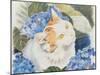 Turkish Van-Anne Robinson-Mounted Giclee Print