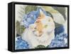 Turkish Van-Anne Robinson-Framed Stretched Canvas