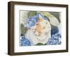 Turkish Van-Anne Robinson-Framed Giclee Print