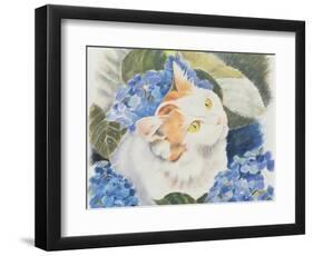 Turkish Van-Anne Robinson-Framed Giclee Print