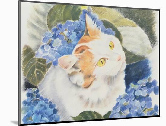 Turkish Van-Anne Robinson-Mounted Giclee Print