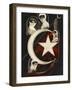 Turkish Women and Flag-null-Framed Photographic Print
