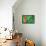 Turkmenistan Flag-daboost-Framed Stretched Canvas displayed on a wall