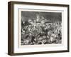 Turko Servia War, Arnauts and Circassians and Burning with Petroleum the Village of Tesica, 1876-null-Framed Giclee Print