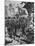 Turks Enter Larissa 1897-null-Mounted Photographic Print