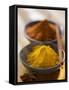Turmeric and Curry-null-Framed Stretched Canvas