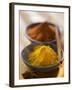 Turmeric and Curry-null-Framed Photographic Print