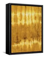 Turmeric Sunrise IV-Natalie Sizemore-Framed Stretched Canvas