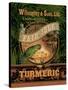 Turmeric-Pamela Gladding-Stretched Canvas