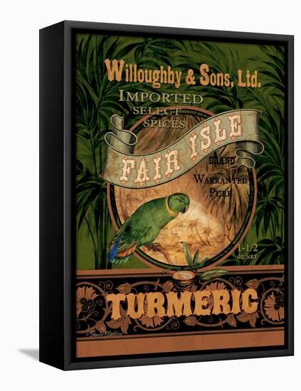 Turmeric-Pamela Gladding-Framed Stretched Canvas