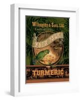 Turmeric-Pamela Gladding-Framed Art Print