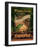 Turmeric-Pamela Gladding-Framed Art Print