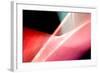 Turn Again-Douglas Taylor-Framed Photographic Print