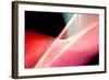 Turn Again-Douglas Taylor-Framed Photographic Print