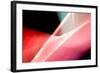 Turn Again-Douglas Taylor-Framed Photographic Print