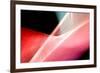 Turn Again-Douglas Taylor-Framed Photographic Print