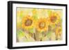 Turn to the Sun-Albena Hristova-Framed Art Print