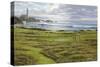 Turnberry-R Sipos-Stretched Canvas