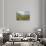 Turnberry-R Sipos-Stretched Canvas displayed on a wall