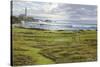 Turnberry-R Sipos-Stretched Canvas