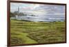 Turnberry-R Sipos-Framed Art Print