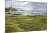 Turnberry-R Sipos-Mounted Art Print