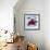 Turned-Out Fruit Jelly-Frank Wieder-Framed Photographic Print displayed on a wall