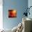 Turned to Solar Light-Philippe Sainte-Laudy-Photographic Print displayed on a wall