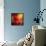 Turned to Solar Light-Philippe Sainte-Laudy-Framed Stretched Canvas displayed on a wall