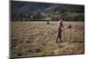 Turning hay by hand, farmer in Longdale Valley, Lake District, c1960-CM Dixon-Mounted Photographic Print