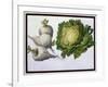 Turnip, Cabbage-Claude Aubriet-Framed Giclee Print