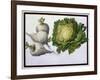 Turnip, Cabbage-Claude Aubriet-Framed Giclee Print