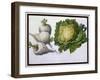 Turnip, Cabbage-Claude Aubriet-Framed Giclee Print