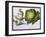 Turnip, Cabbage-Claude Aubriet-Framed Giclee Print