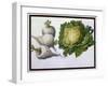 Turnip, Cabbage-Claude Aubriet-Framed Giclee Print